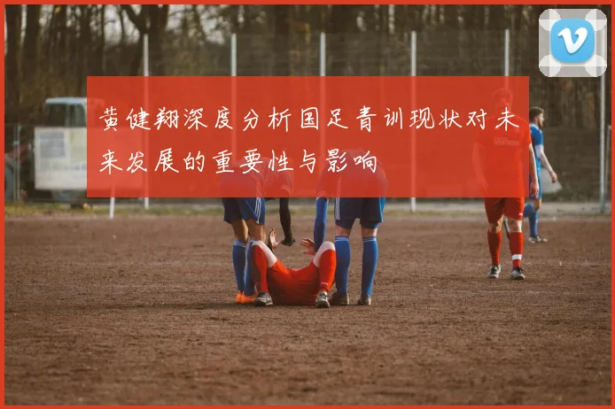 黄健翔深度分析国足青训现状对未来发展的重要性与影响